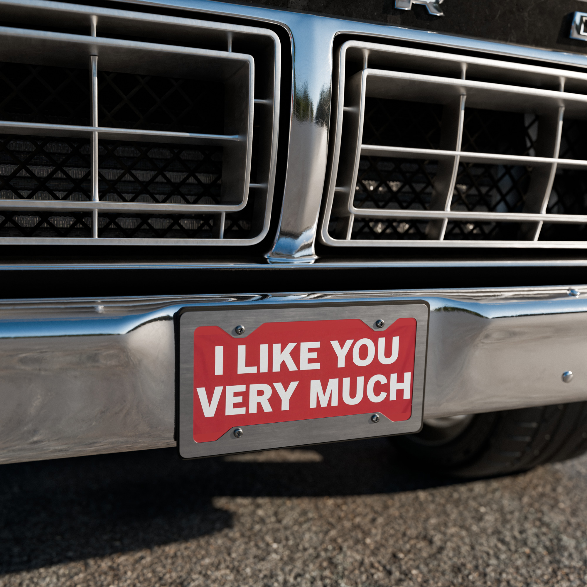 I Like You Very Much License Plate